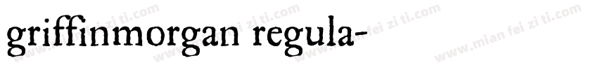 griffinmorgan regula字体转换